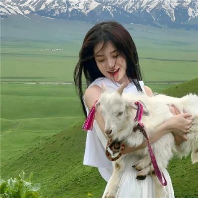 与鲨鱼游弋